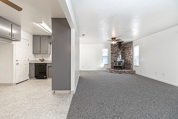 3324WildPalms06
