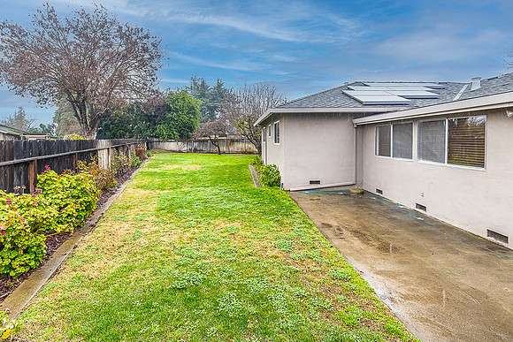 1521Tiburon31