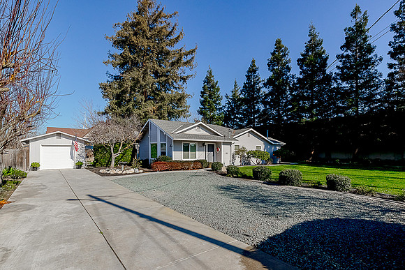 1610Ivy02