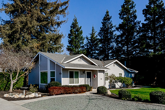 1610Ivy01