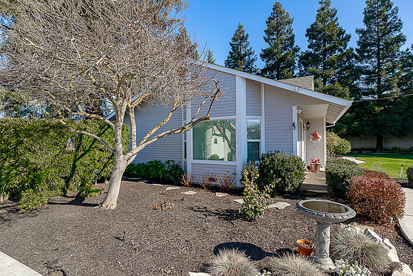 1610Ivy05