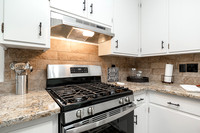 5416Mulberry09