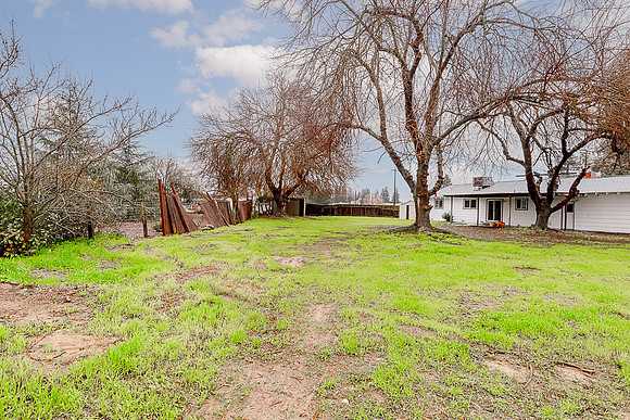 5416Mulberry20