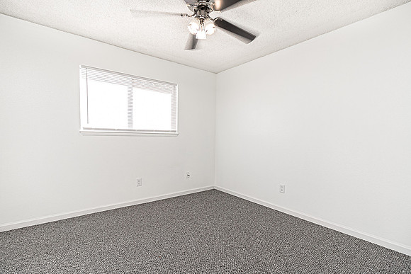 3324WildPalms20