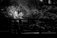 IMG_6221