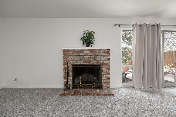 2065eucalyptus09