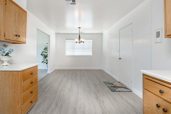 2065eucalyptus19