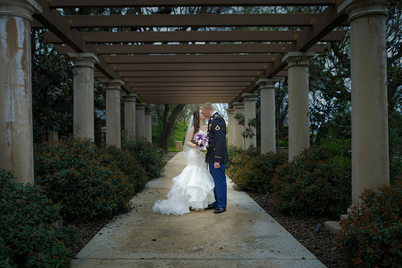 C&BWED-299
