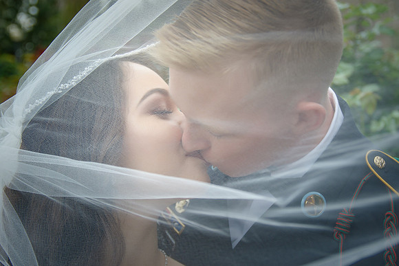 C&BWED-311