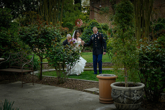 C&BWED-286