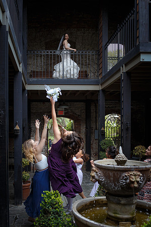 C&BWED-511