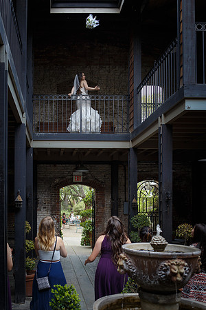 C&BWED-508