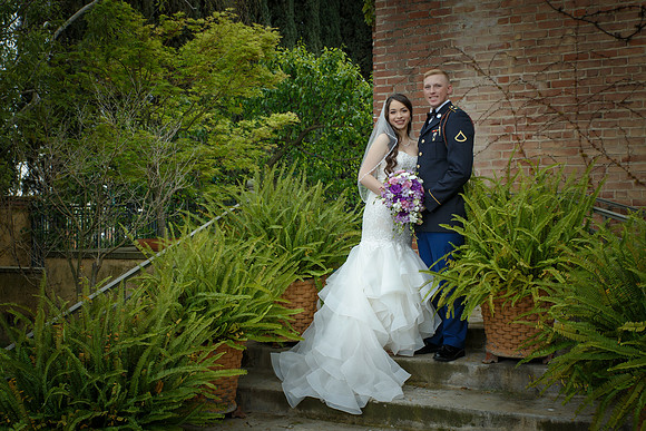 C&BWED-274