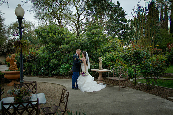 C&BWED-290