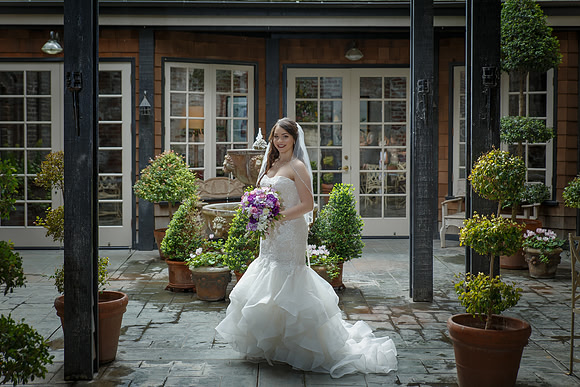 C&BWED-034