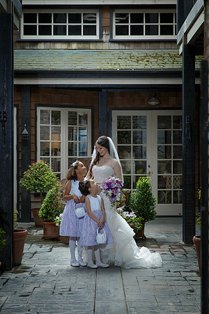 C&BWED-041