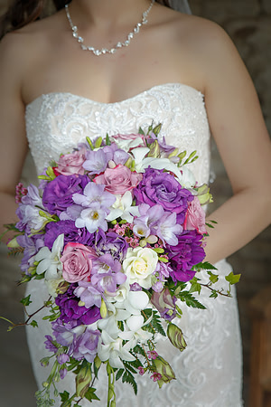 C&BWED-031