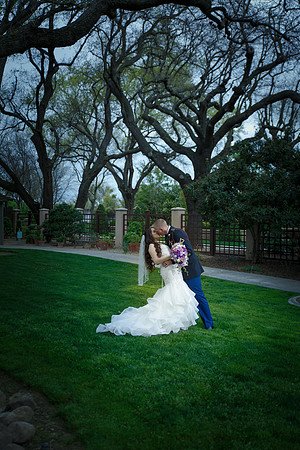 C&BWED-524