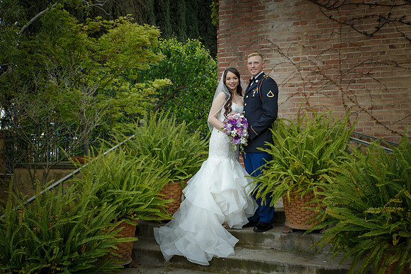 C&BWED-275