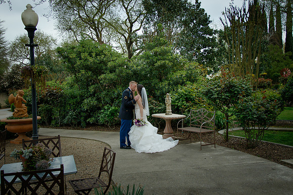 C&BWED-293