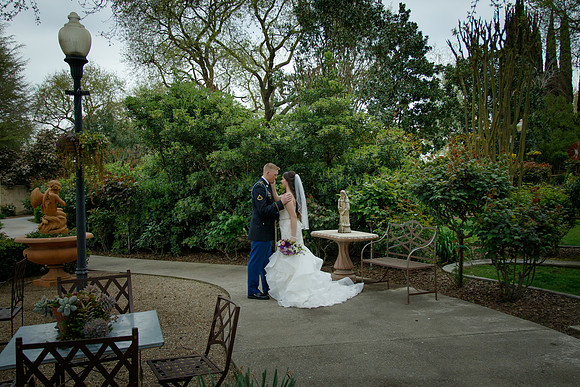 C&BWED-289