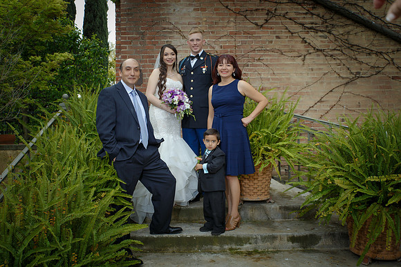 C&BWED-255