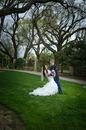 C&BWED-309
