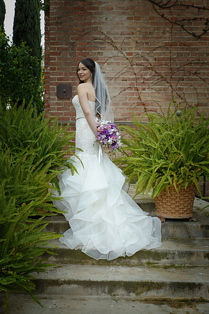 C&BWED-284