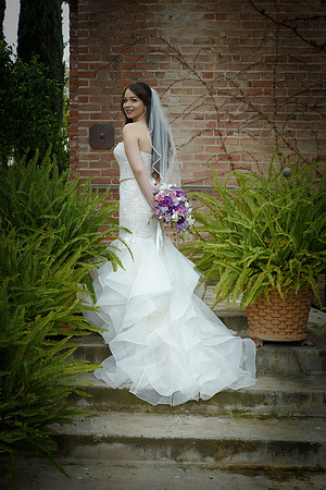 C&BWED-283