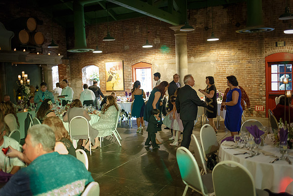 C&BWED-499