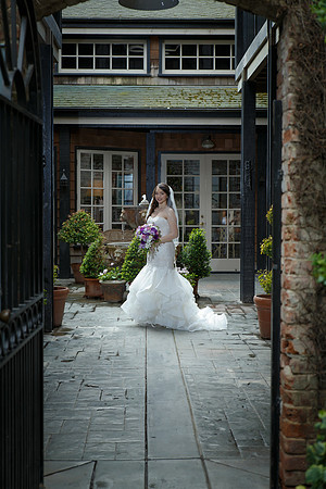 C&BWED-036