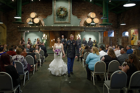 C&BWED-203