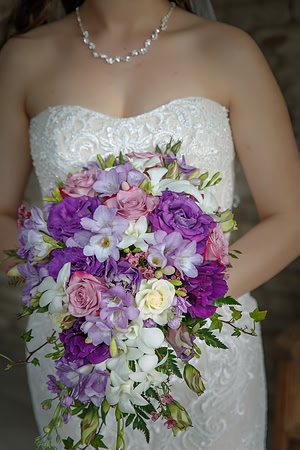 C&BWED-030