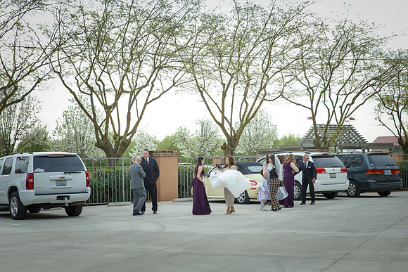 C&BWED-004