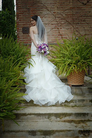 C&BWED-281