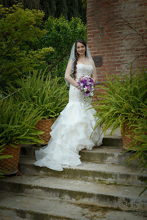 C&BWED-279