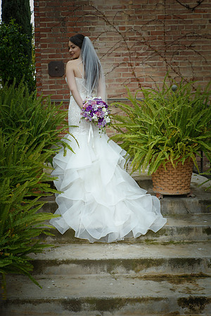C&BWED-282