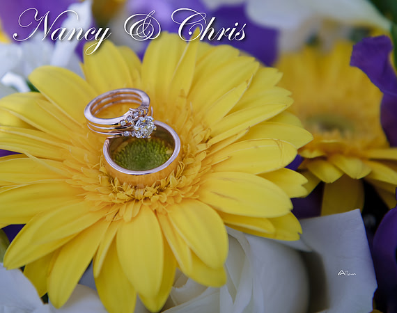 NancyChrisBook3 026 (Cover 1)