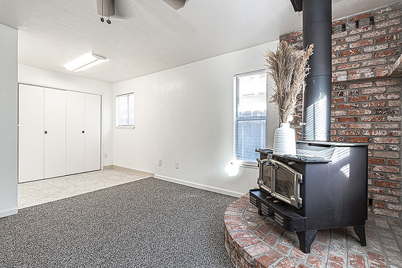 3324WildPalms09