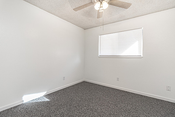 3324WildPalms17