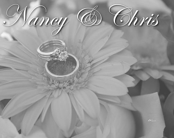 NancyChrisBook2 026 (Cover 2)