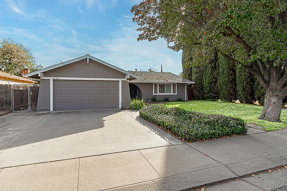 3324WildPalms03
