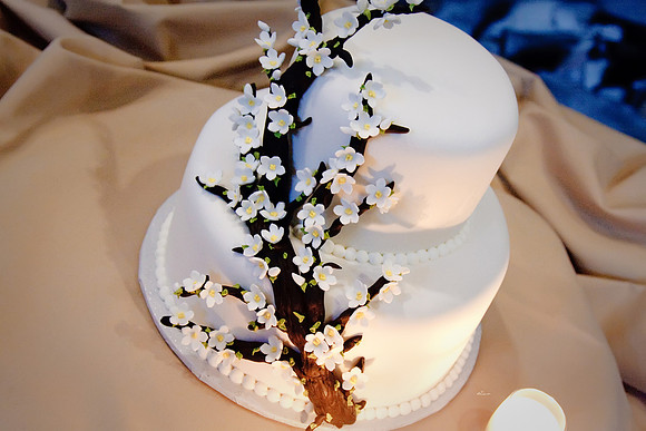 Maria&Michael2456
