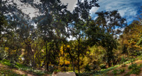 IMG_1971-Pano