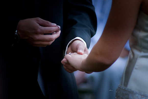 aliciajoewed158.jpg