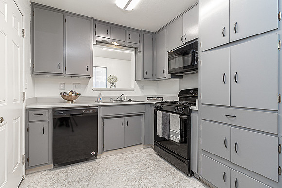 3324WildPalms13