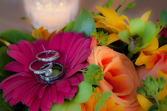 aliciajoewed011.jpg
