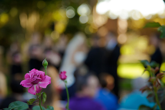 KameronNickWED172