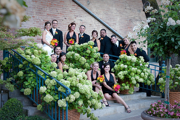 aliciajoewed227.jpg
