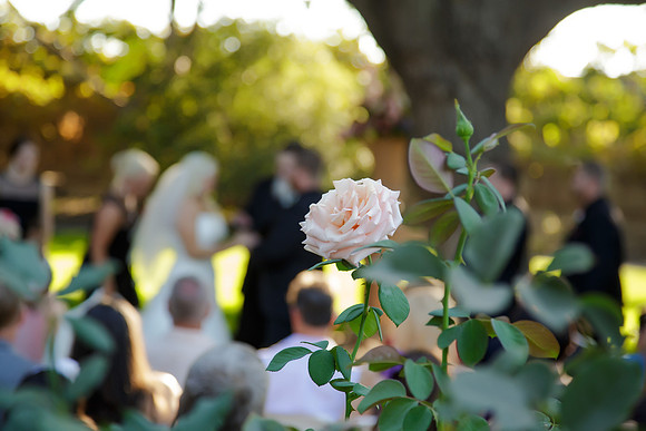 KameronNickWED168